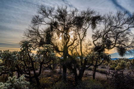 Epic landscape scenery from the preserve and protected parkの写真素材