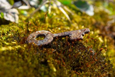 The old rusty key lays on a grassの写真素材