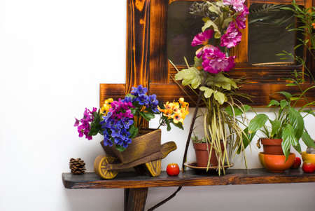 still life from different flowerpots on shelfの写真素材