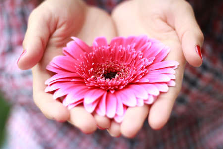 flower is put in open hands of a girlの写真素材