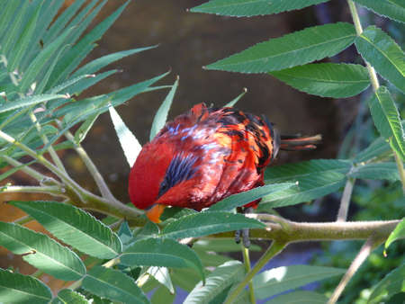 Nature sceneの写真素材