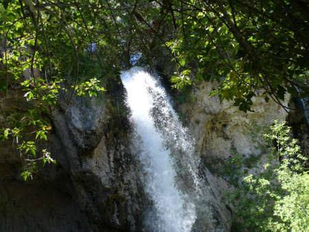 Nature sceneの写真素材