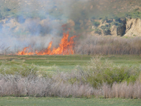 Nature sceneの写真素材