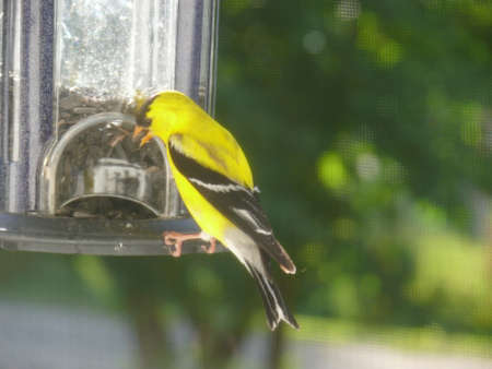 Nature sceneの写真素材