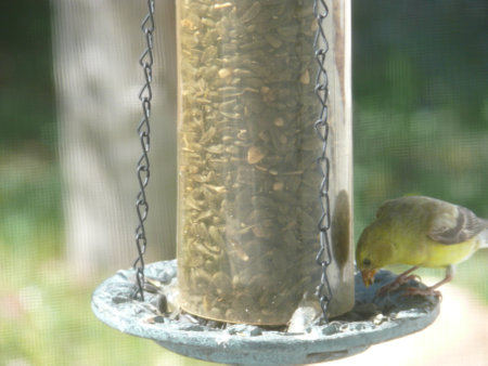 Nature sceneの写真素材