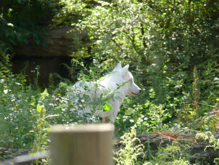 Nature sceneの写真素材