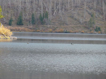 Nature sceneの写真素材