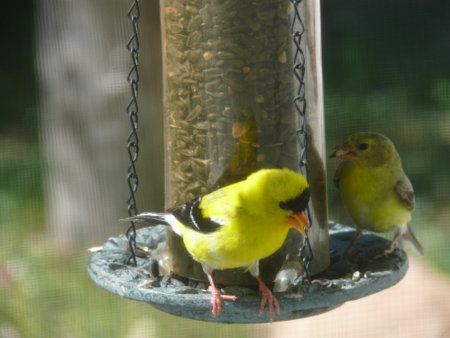 Nature sceneの写真素材