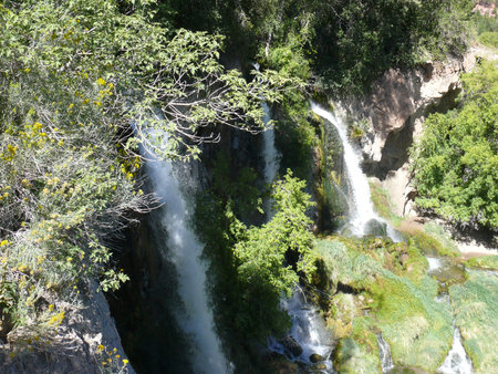 Nature sceneの写真素材