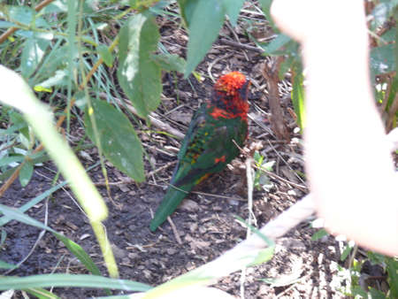 Nature sceneの写真素材