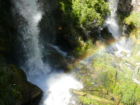 Nature sceneの写真素材