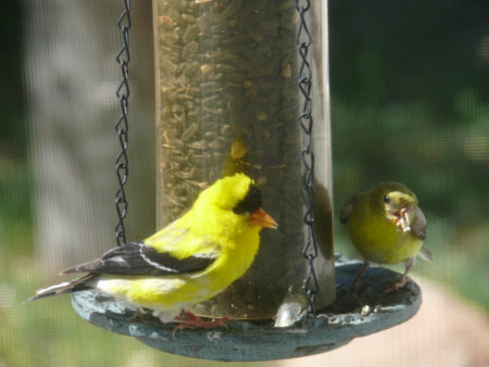 Nature sceneの写真素材