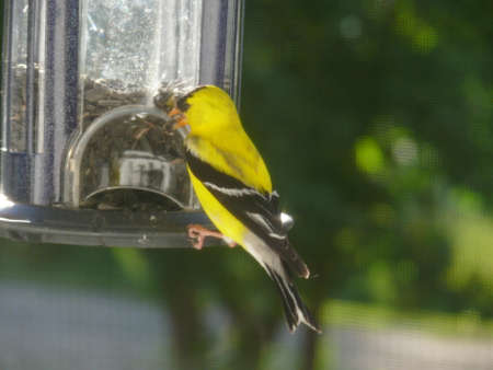 Nature sceneの写真素材