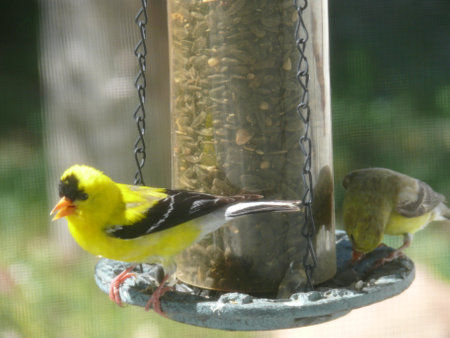 Nature sceneの写真素材