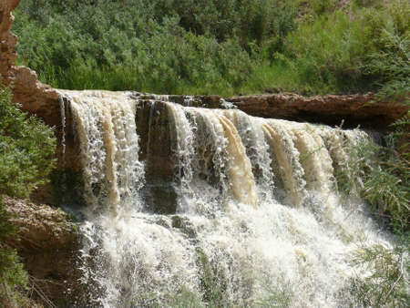 Nature sceneの写真素材