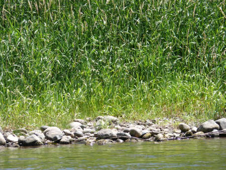 Nature sceneの写真素材