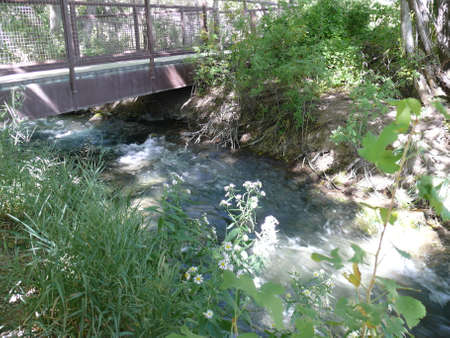 Nature sceneの写真素材