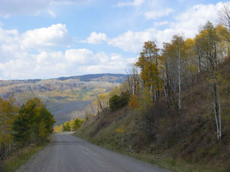 Nature sceneの写真素材