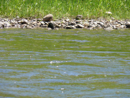 Nature sceneの写真素材