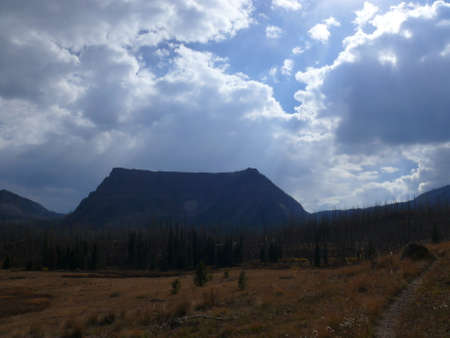 Nature sceneの写真素材