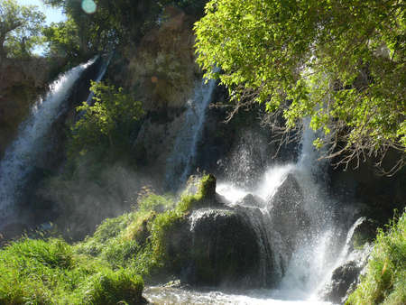 Nature sceneの写真素材