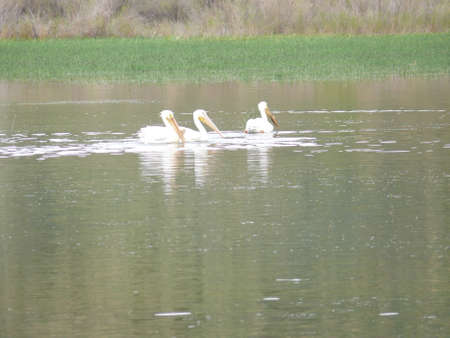 Nature sceneの写真素材