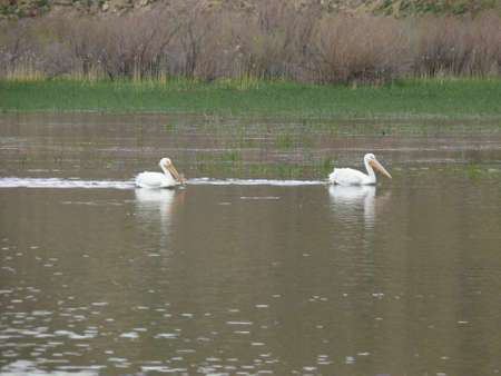 Nature sceneの写真素材