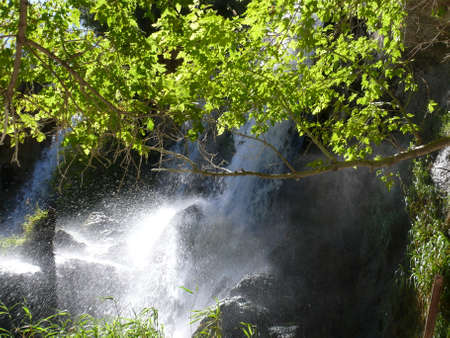 Nature sceneの写真素材