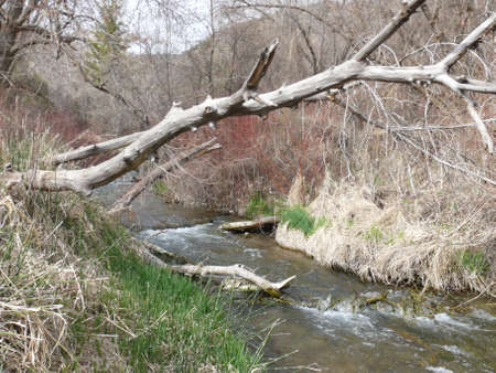 Nature sceneの写真素材