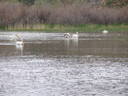 Nature sceneの写真素材