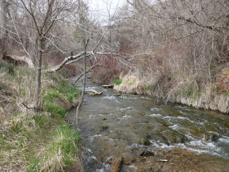 Nature sceneの写真素材