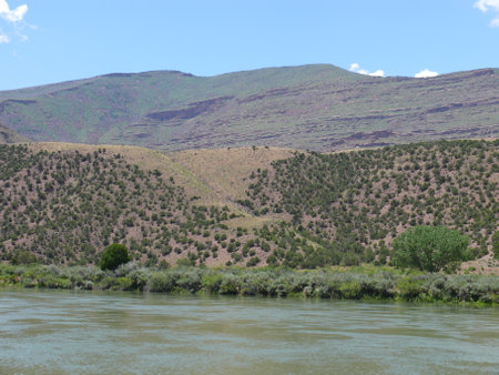 Nature sceneの写真素材