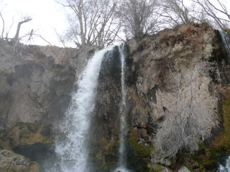 Nature sceneの写真素材