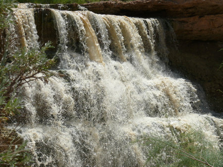 Nature sceneの写真素材