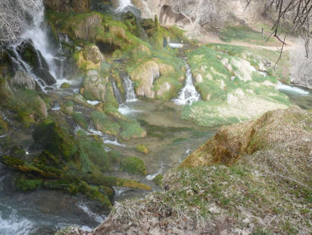 Nature sceneの写真素材