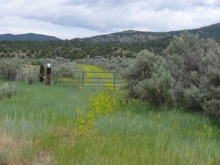 Nature sceneの写真素材