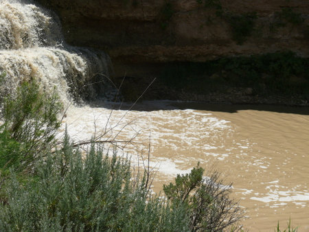 Nature sceneの写真素材