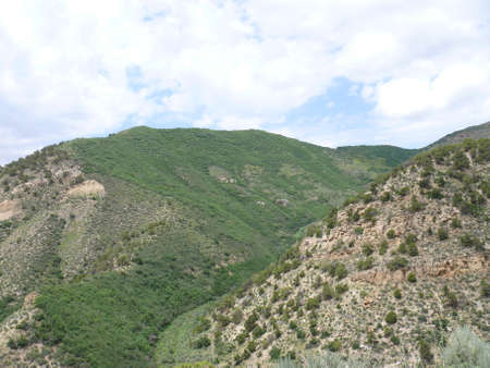 Nature sceneの写真素材