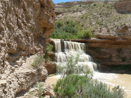 Nature sceneの写真素材