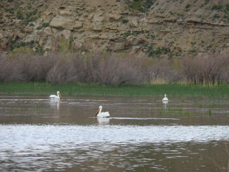 Nature sceneの写真素材