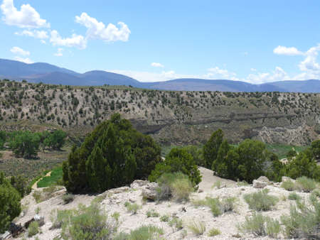 Nature sceneの写真素材