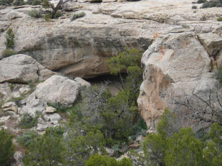 Nature sceneの写真素材