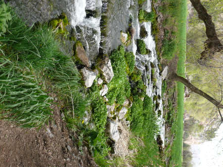 Nature sceneの写真素材