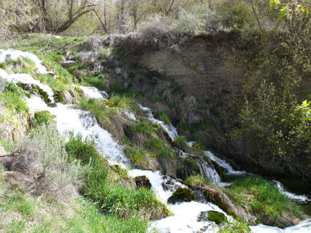 Nature sceneの写真素材