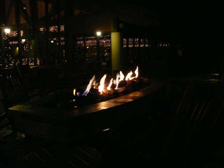 Nature sceneの写真素材