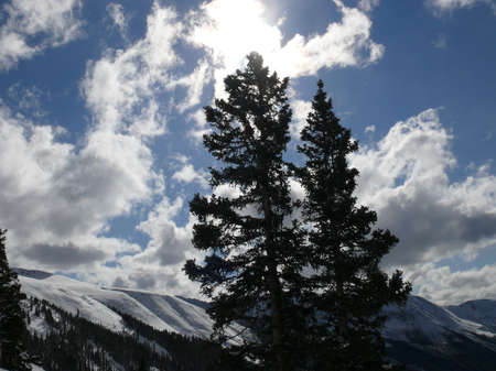 Nature sceneの写真素材