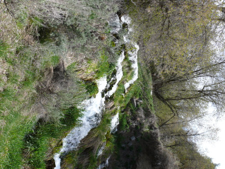 Nature sceneの写真素材