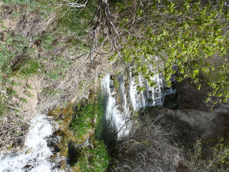 Nature sceneの写真素材