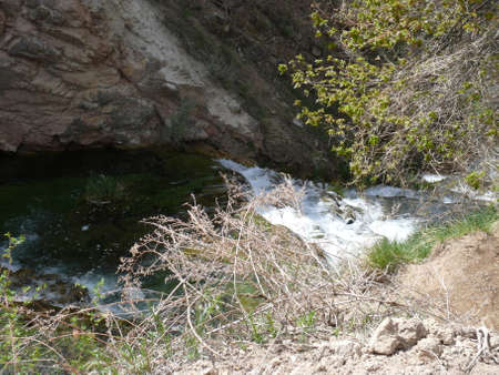 Nature sceneの写真素材