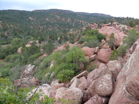 Nature sceneの写真素材